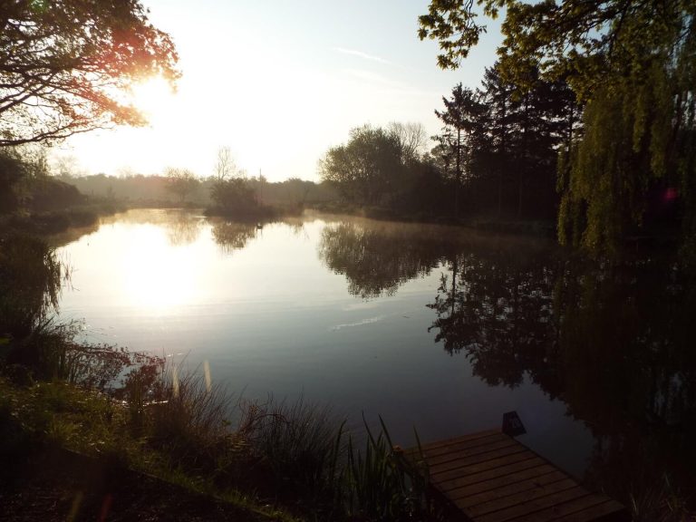 Wild Oaks Fishery