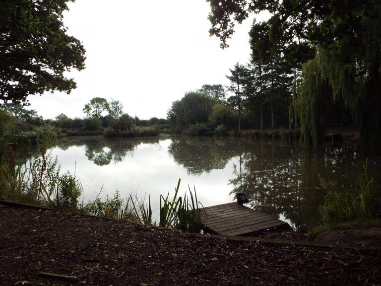 Wild Oaks Fishery